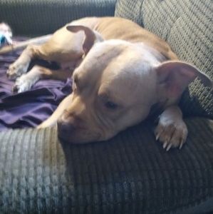 Meet your Posher, Jay